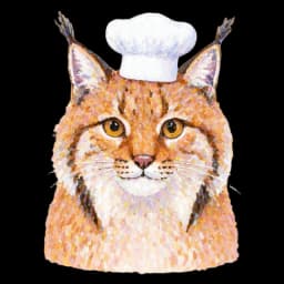 lynx gourmet aux fourneaux
